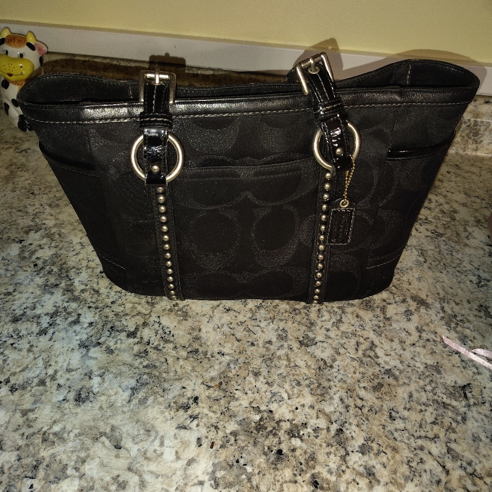 Elegant Black Designer Women's Bag